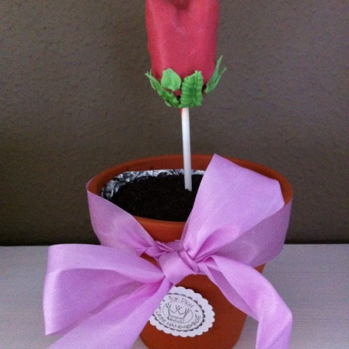 Der fertige Blumentopfkuchen