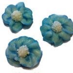 Klein aber fein – Cupcakes als Geschenk